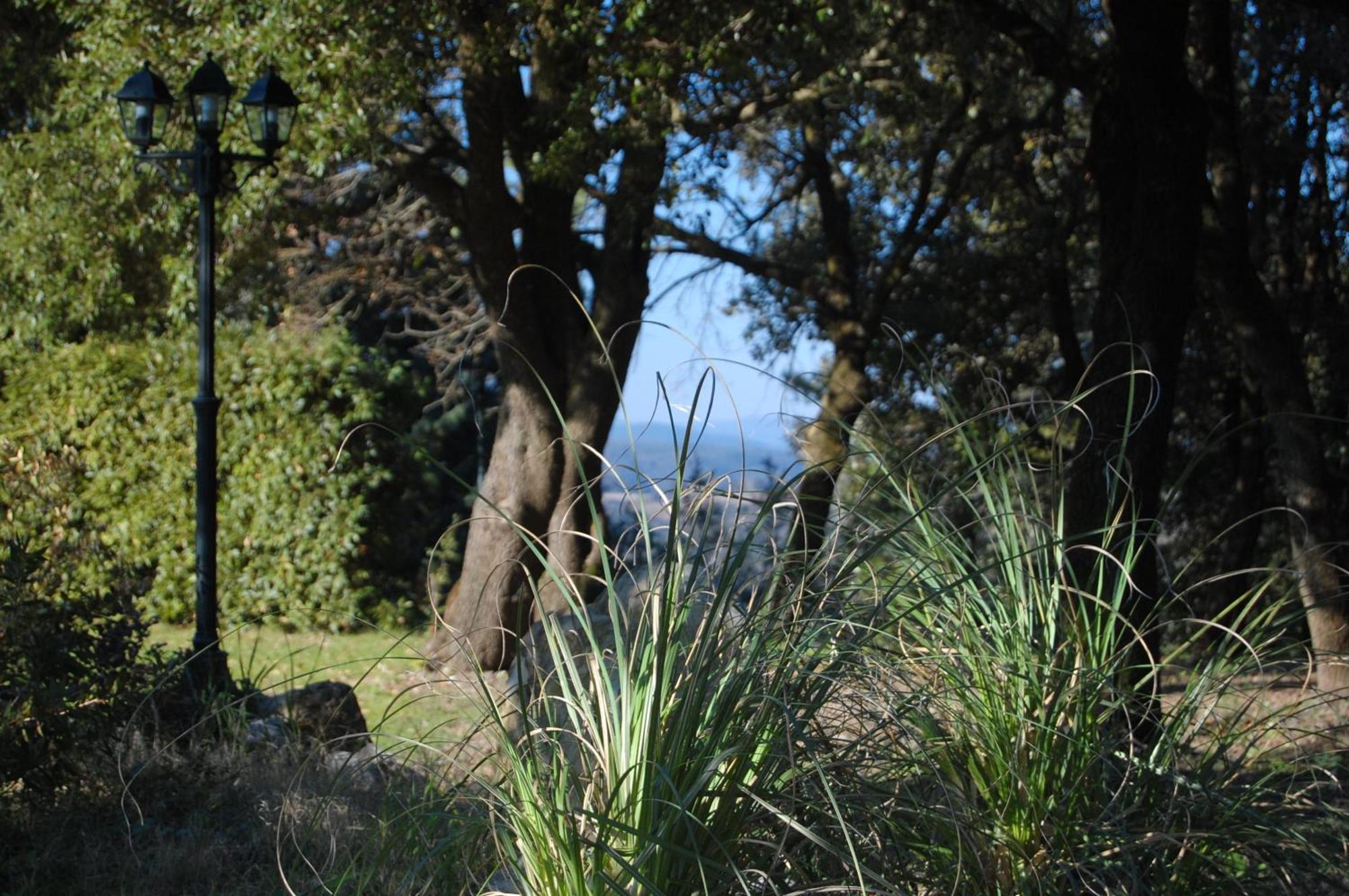 Agriturismo San Ansanino- Piscina Con Spiaggia-Aria Condizionata Pari Exteriér fotografie