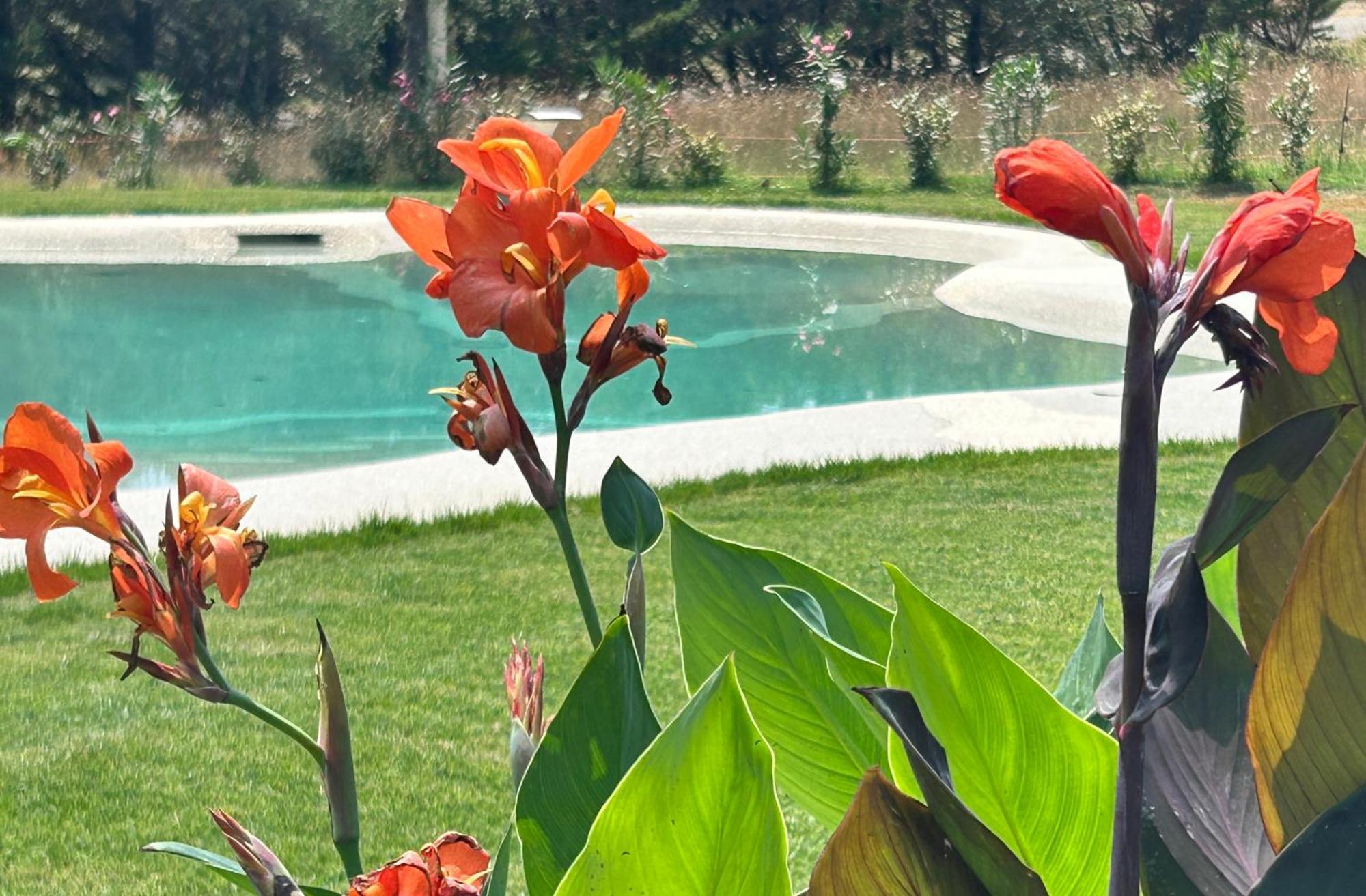 Agriturismo San Ansanino- Piscina Con Spiaggia-Aria Condizionata Pari Exteriér fotografie